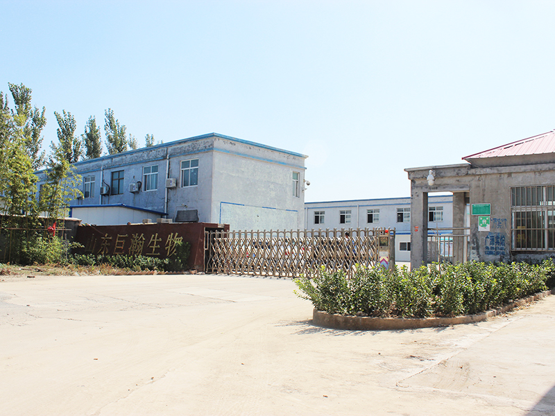 企業(yè)風采